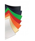 【Silla confidente para oficina y salas de espera SHELL-POLI】¡Compra!