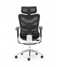 ▷ Sillón giratorio ejecutivo  soporte lumbar ERGO STYLE