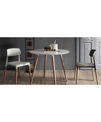 【Silla fija confidente con monocarcasa CROSCAT】Mejor Calidad y Precio 2