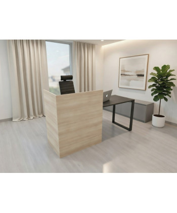 Mesa MOSTRADOR MODERNO 80 cms