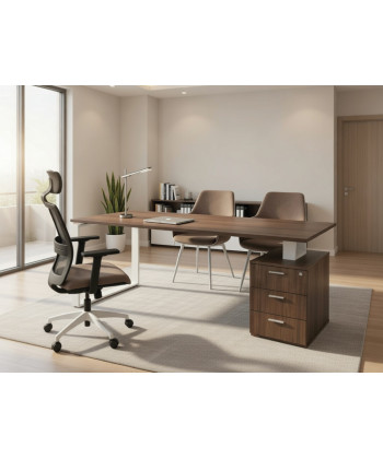 Mesa de oficina moderna Ofiplus-SC-ML chapa metálica con cajonera