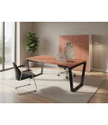 Mesa de oficina GEO NEW