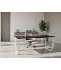Mesa de oficina Geo ML Metálica en Varios Colores