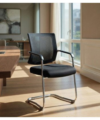 Comprar Silla confidente con brazos DARNELL BP