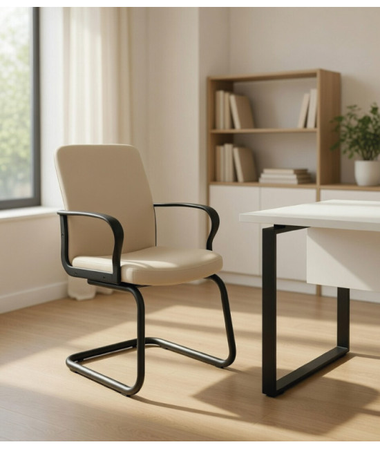 Comprar un sillón para oficina, con una calidad y precio muy buenos. Servicio rápido.