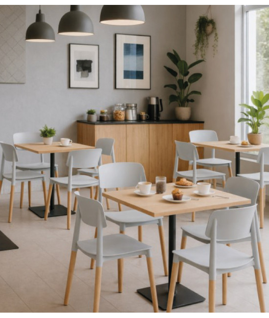 【Silla fija confidente con monocarcasa CROSCAT】Mejor Calidad y Precio