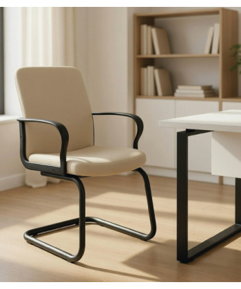 Comprar un sillón para oficina, con una calidad y precio muy buenos. Servicio rápido.