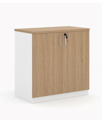 ARMARIO CON PUERTAS AREZZO 800X400X800 mm. Mejor calidad y precio