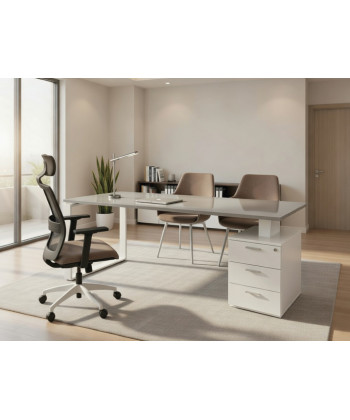 Mesa de oficina moderna Ofiplus-SC-DL chapa metálica con cajonera