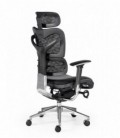 ▷ Sillón giratorio ejecutivo  soporte lumbar ERGO STYLE