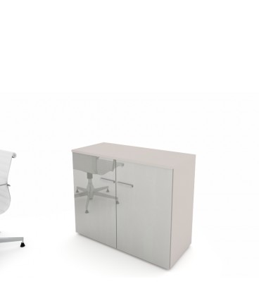 Armario con puertas 776x930x425mm DL